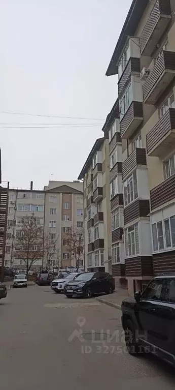 Студия Ставропольский край, Ставрополь просп. Кулакова, 67/2 (25.0 м) - Фото 1