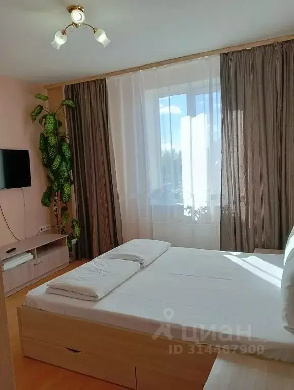 2-к кв. Псковская область, Псков Гражданская ул., 27 (50.0 м) - Фото 1