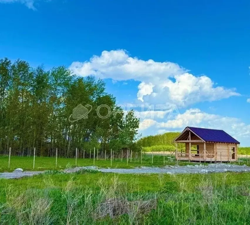 Участок в Тюменская область, Тюменский муниципальный округ, с. ... - Фото 1