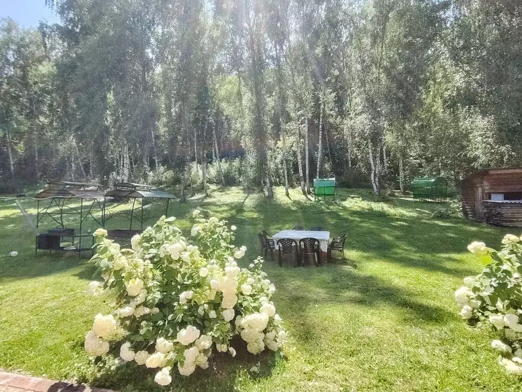 Дом в Алтайский край, Алтайский район, Айский сельсовет, с. Ая ул. ... - Фото 2