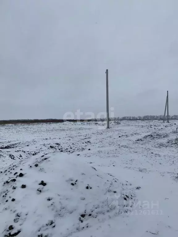 Участок в Белгородская область, Белгородский район, Головинское с/пос, ... - Фото 1
