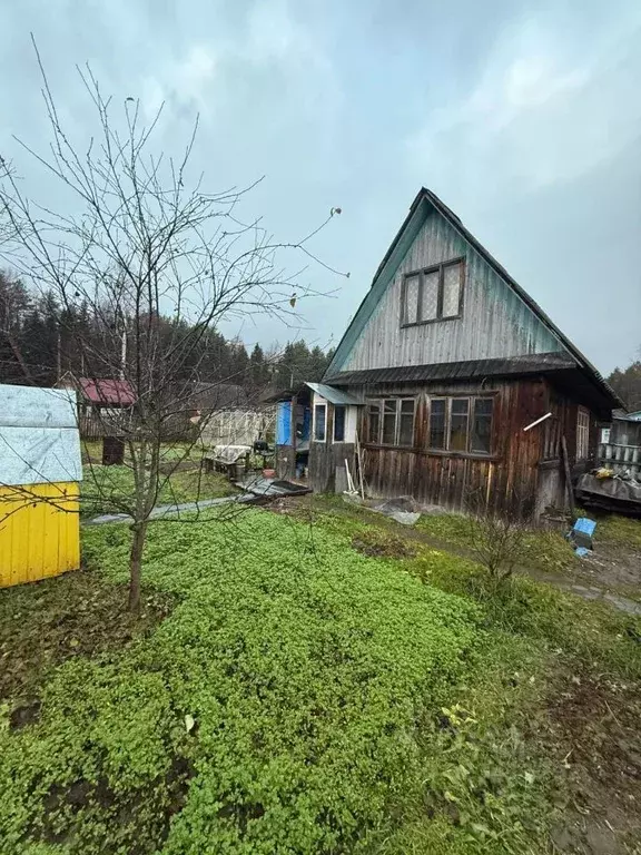 Дом в Кировская область, Кирово-Чепецкий район, Чепецкое с/пос 13 (60 ... - Фото 2