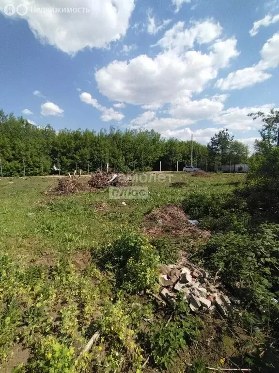 Участок в Нижнекамск, СНТ Стройиндустрия (5.6 м) - Фото 2