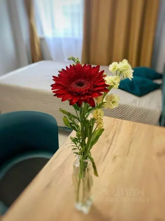 Студия Московская область, Реутов Транспортная ул., 27 (18.0 м) - Фото 1