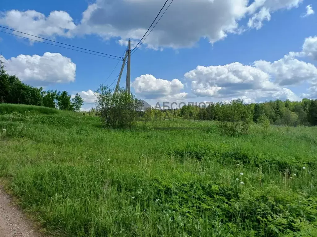 Участок в Новгородская область, Валдайский район, Короцкое с/пос, д. ... - Фото 1