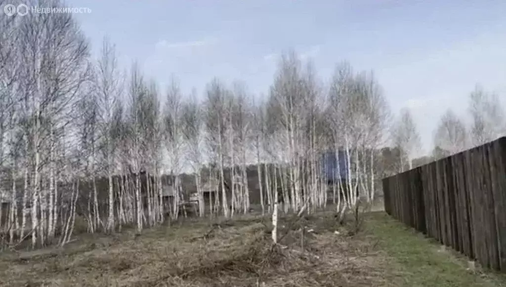 Участок в Новолуговской сельсовет, СНТ Лада-2, 1-я Полевая улица (5 м) - Фото 2