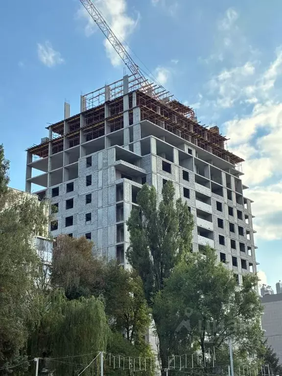 Студия Белгородская область, Белгород просп. Богдана Хмельницкого, 78Б ... - Фото 1