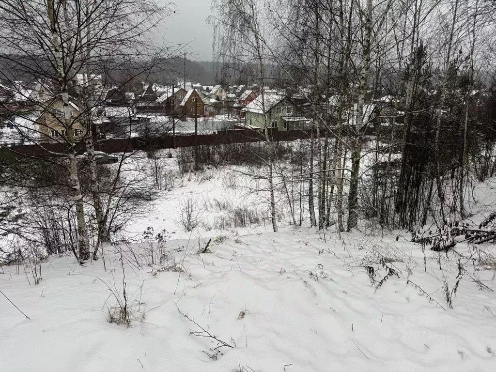 Участок в Московская область, Пушкинский городской округ, д. Лепешки  ... - Фото 0