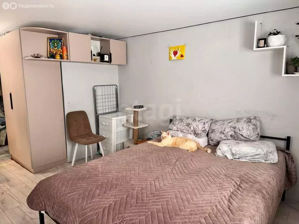 1-комнатная квартира: Таганрог, Гоголевский переулок, 66 (24.1 м) - Фото 2