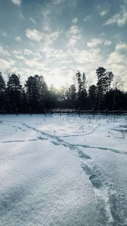 Участок в Иркутская область, Шелеховский район, Шаманское ... - Фото 1