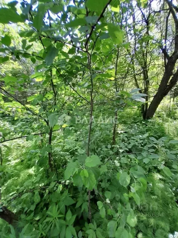 Участок в Нижегородская область, Нижний Новгород Заветы Мичурина Сад № ... - Фото 1