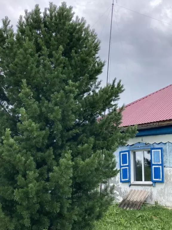 Дом в Кемеровская область, Промышленновский район, д. Колычево ... - Фото 0