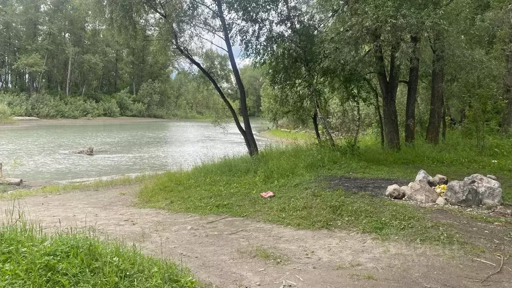 Участок в Алтай, Майминский район, пос. Дубровка ул. Сафронова, 91А ... - Фото 2