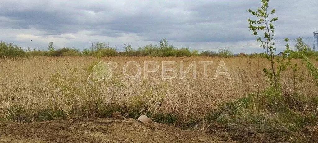 Участок в Тюменская область, Тюмень На Липовом кп, ул. Николая Егорова ... - Фото 1