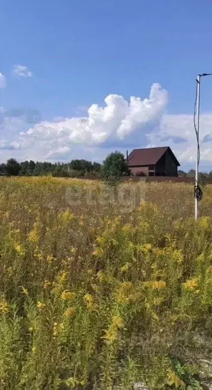 Участок в Тульская область, Дубенский район, Протасовское с/пос, с. ... - Фото 0