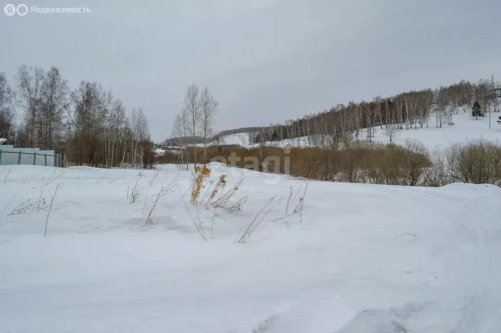 Участок в Кемеровская область, Прокопьевский муниципальный округ, ... - Фото 1