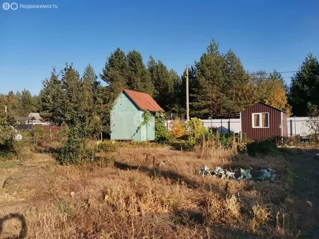 Участок в Рамонский район, Новоживотинновское сельское поселение, СНТ ... - Фото 0