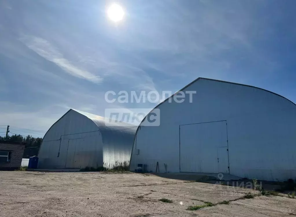 Склад в Московская область, Пушкинский городской округ, д. Цернское  ... - Фото 2