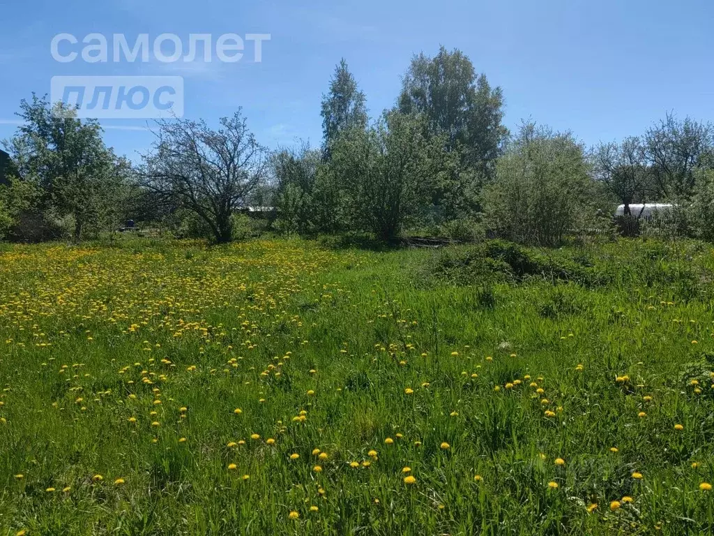 Участок в Вологодская область, Вологда Чайка садоводческое ... - Фото 1