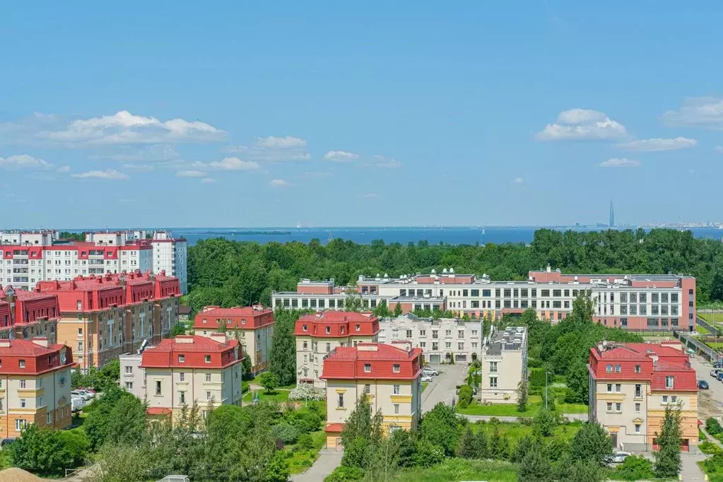 2-к кв. Санкт-Петербург просп. Ветеранов, 171к5 (52.7 м) - Фото 0