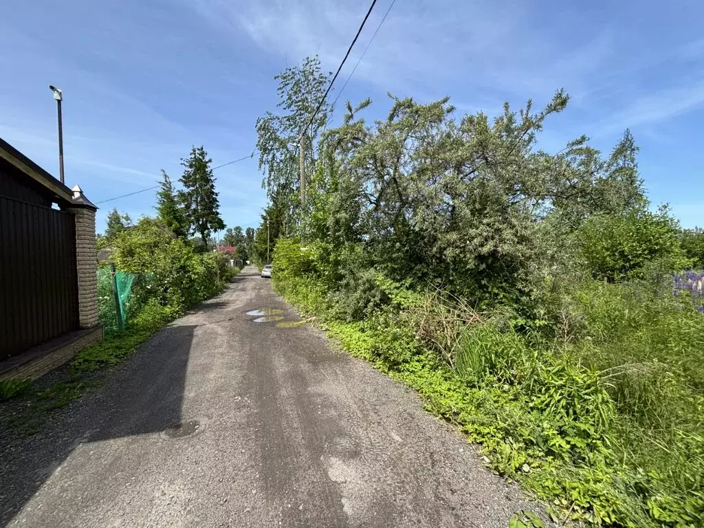 Участок в Санкт-Петербург Дачное Балтийского завода СНТ, 15-я линия ... - Фото 1