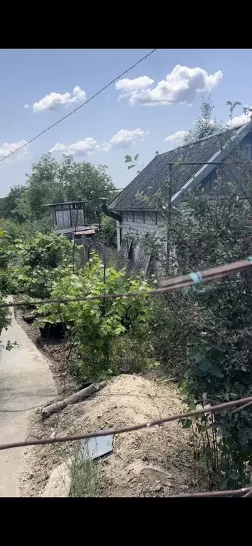 Дача 31 м на участке 6,14 га - Фото 1