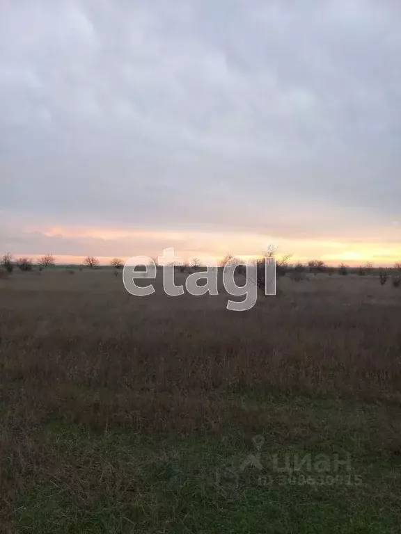 Участок в Крым, Сакский район, Митяевское с/пос, с. Шелковичное  ... - Фото 2