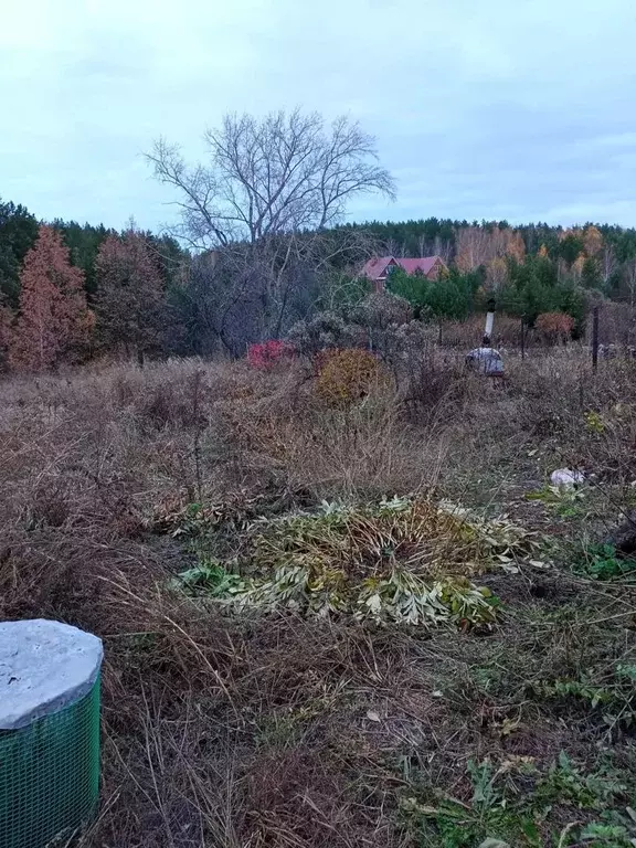 дом в свердловская область, белоярский городской округ, д. марамзина . - Фото 0