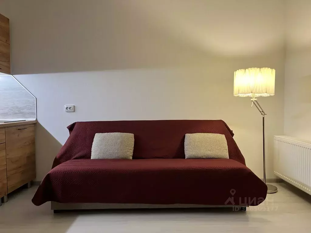 Студия Санкт-Петербург просп. Буденного, 23к5 (25.0 м) - Фото 1