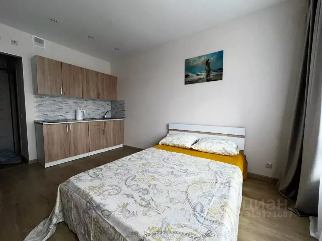 Студия Москва проезд Стройкомбината, 1 (28.0 м) - Фото 1