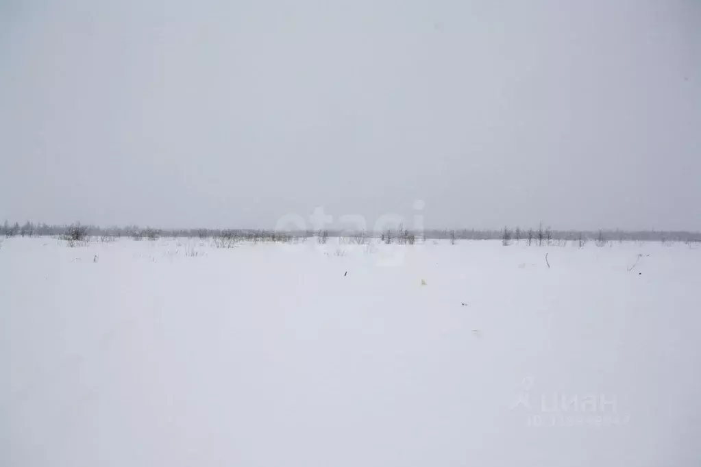 Участок в Ямало-Ненецкий АО, Новый Уренгой  (6.0 сот.) - Фото 1