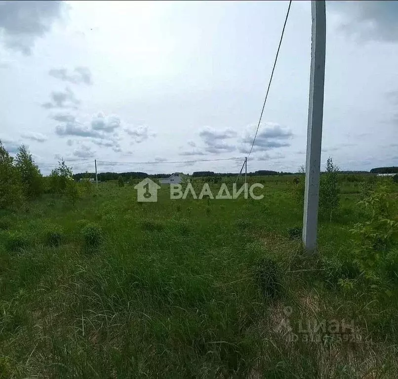 Участок в Нижегородская область, Богородский муниципальный округ, д. ... - Фото 1