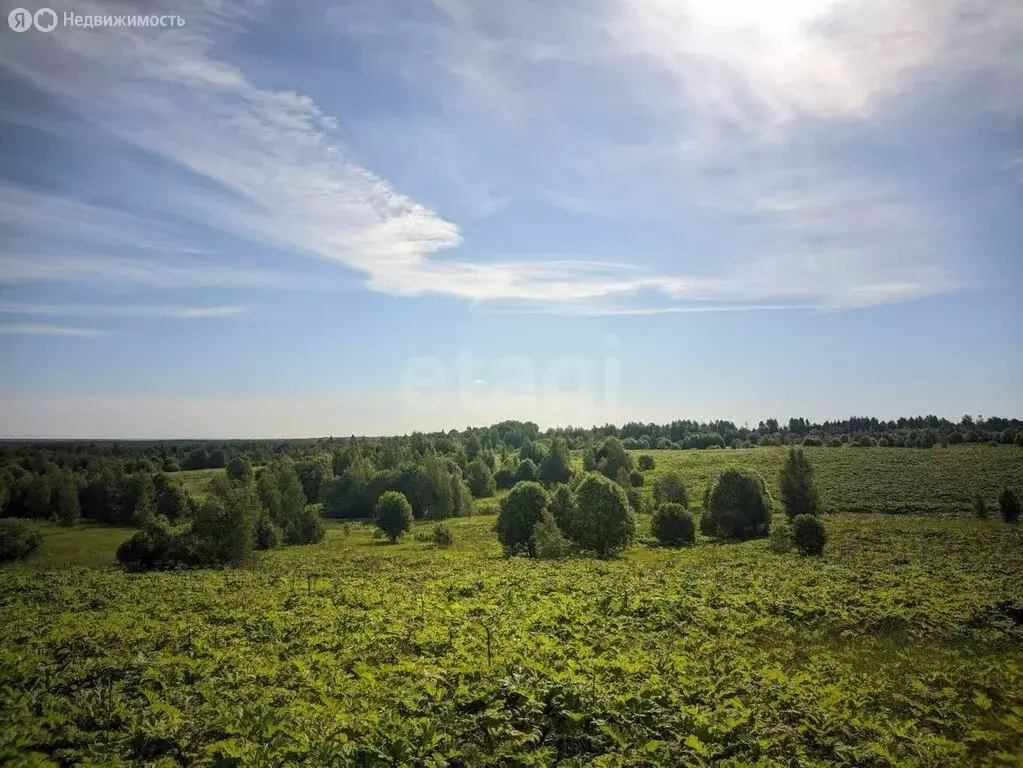 Участок в деревня Лопухинка, Счастливая улица (15 м) - Фото 1