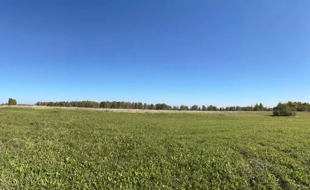 Участок в Томская область, Томский район, д. Петрово Петровская ул. ... - Фото 1