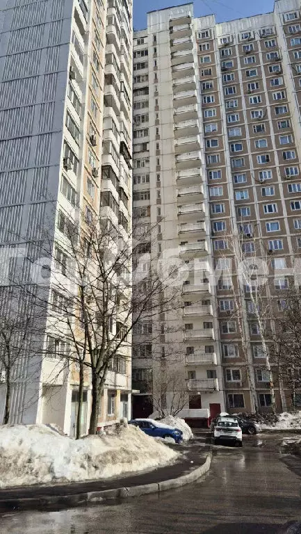 Продается 1-комнатная квартира - Фото 2