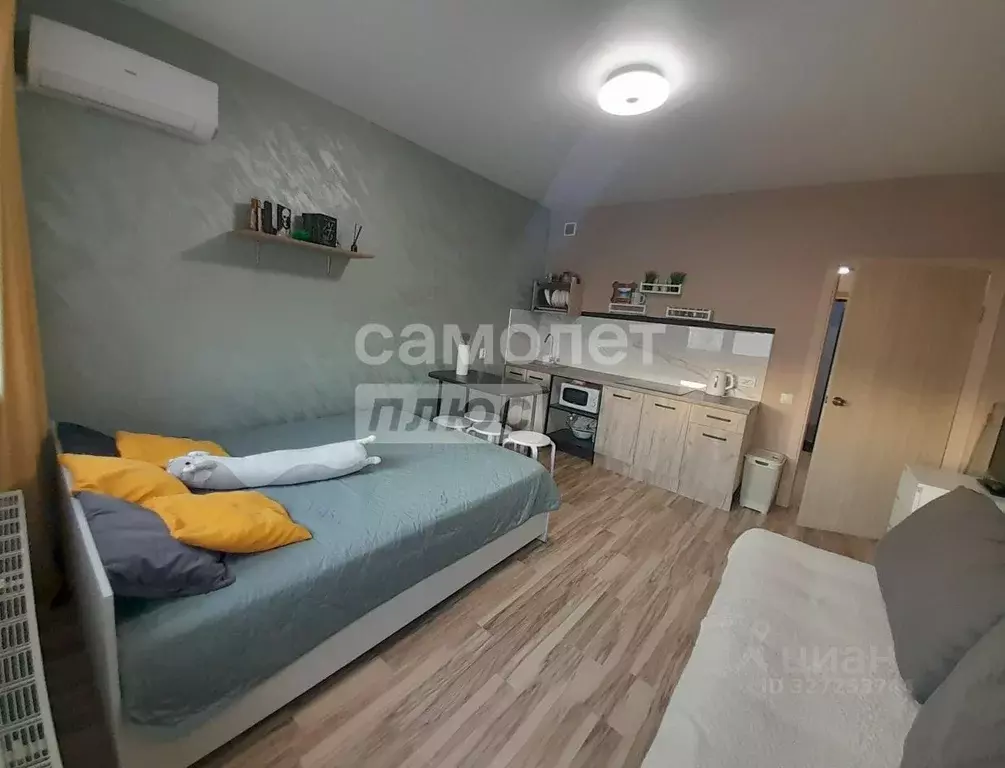 Студия Краснодарский край, Анапа ул. Толстого, 130к1 (26.0 м) - Фото 2