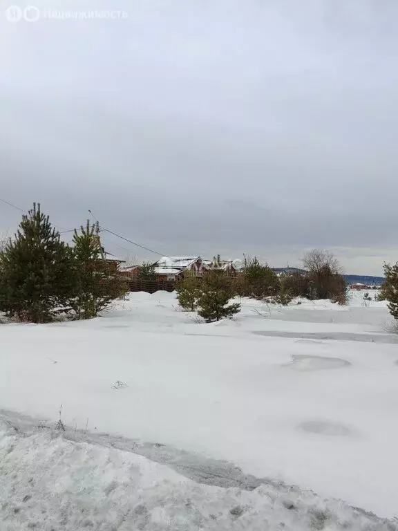 Участок в Баклашинское муниципальное образование, ДНП КП Ясная поляна, ... - Фото 2