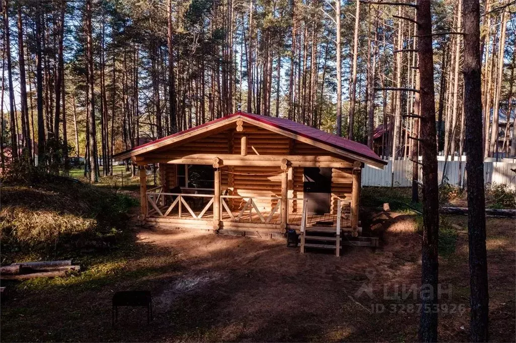 Дом в Псковская область, Гдов  (80 м) - Фото 2