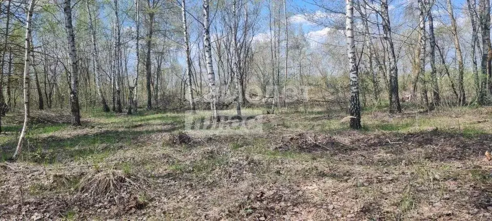 Участок в Курская область, Курск Цыганский Бугор кв-л,  (10.0 сот.) - Фото 2