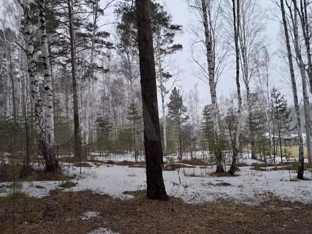 Погода падь мельничная сегодня Погода падь мельничная сегодня
