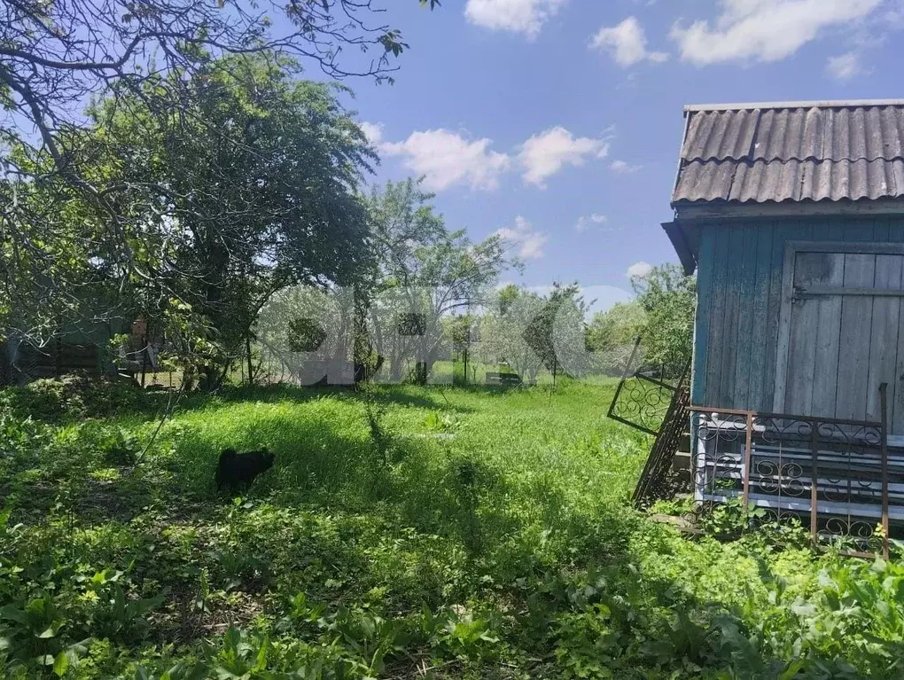 Участок в Краснодарский край, Новокубанский район, Советская ст-ца ул. ... - Фото 0