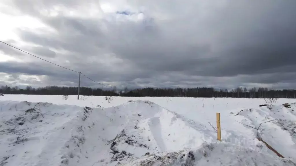 Участок в Московская область, Раменский муниципальный округ, д. ... - Фото 0