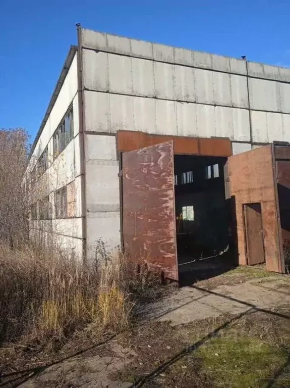 Помещение свободного назначения в Московская область, Раменский ... - Фото 1