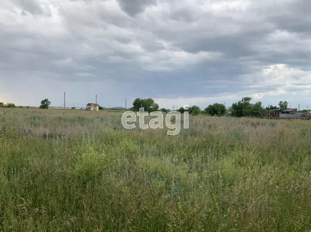 Участок в Челябинская область, Красноармейский район, Березовское ... - Фото 0