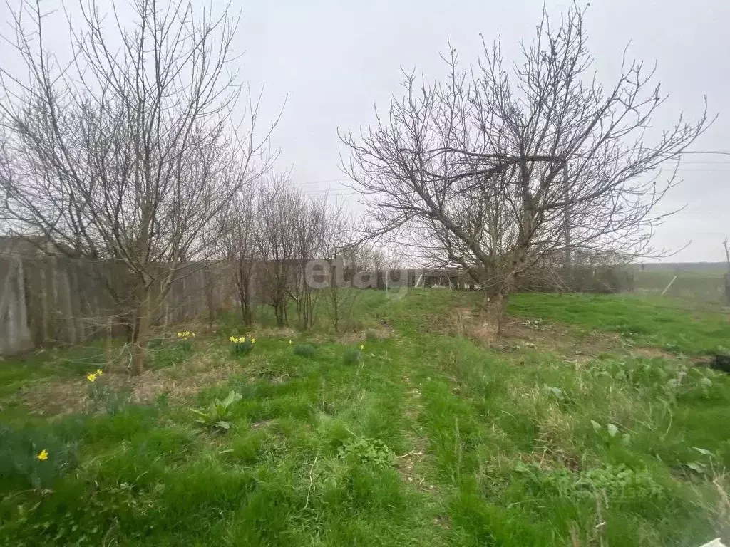 Участок в Ставропольский край, Георгиевский муниципальный округ, с. ... - Фото 1