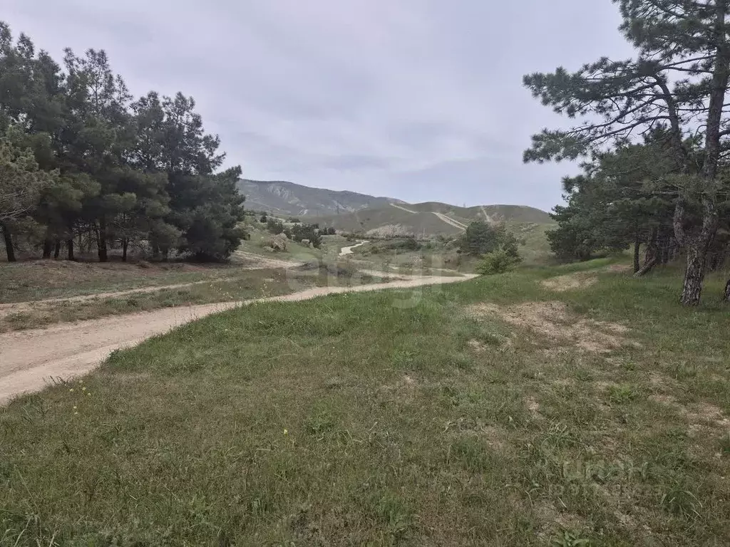 Участок в Крым, Феодосия городской округ, Орджоникидзе пгт, Волна СНТ ... - Фото 0