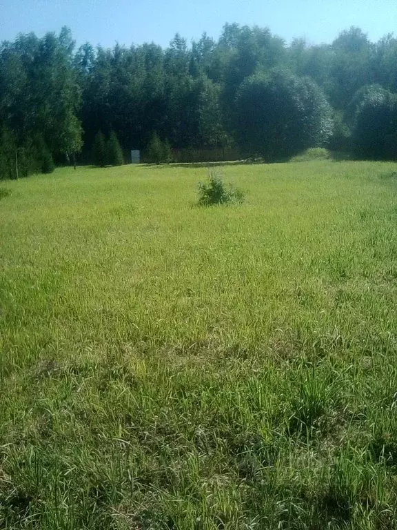 Участок в Владимирская область, Собинский муниципальный округ, д. ... - Фото 1