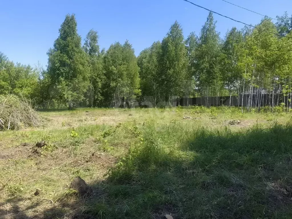 Участок 12 сот. (СНТ, ДНП) - Фото 0