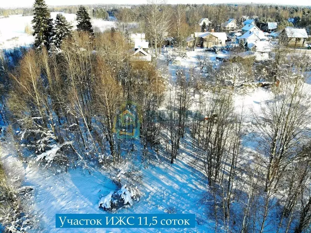 Участок в посёлок Сосново, Озёрная улица, 42 (11.5 м) - Фото 1