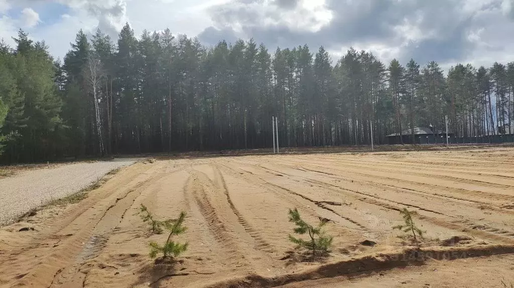 Участок в Владимирская область, Судогодский район, Вяткинское ... - Фото 0